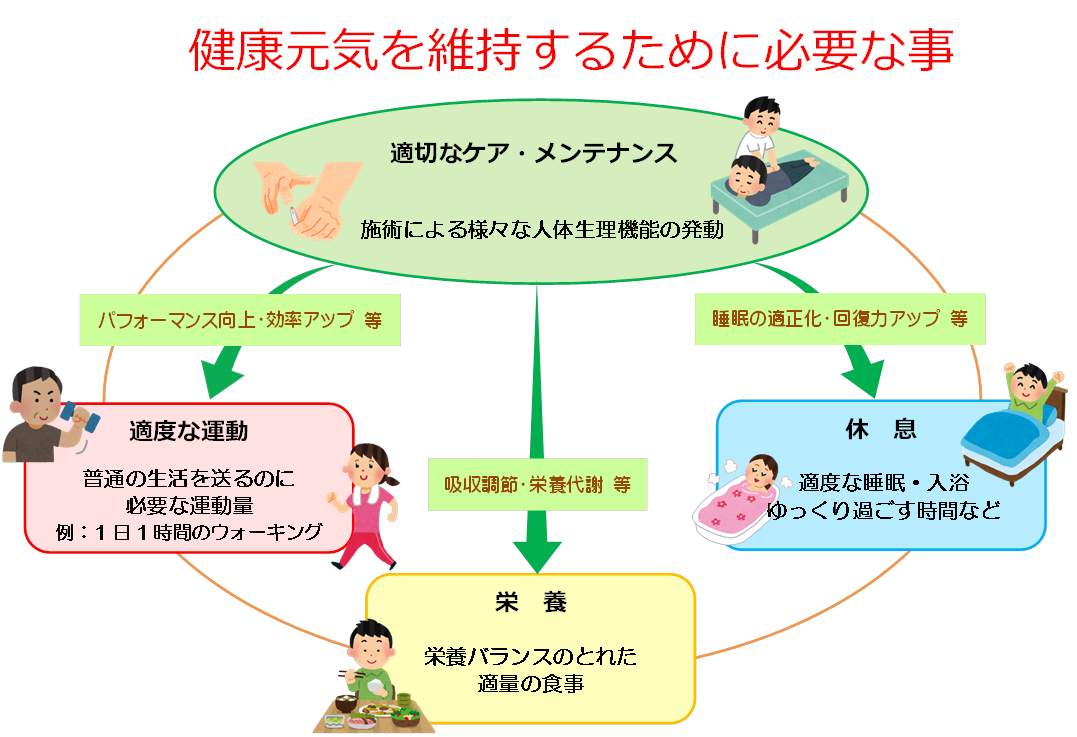健康元気を維持するためには 適切なケア、メンテナンス・適度な運動・栄養・休息